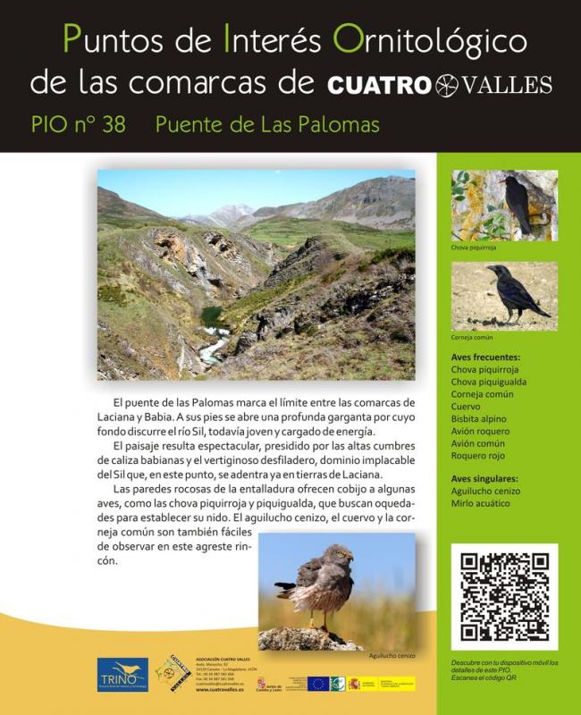 Puente de Las Palomas