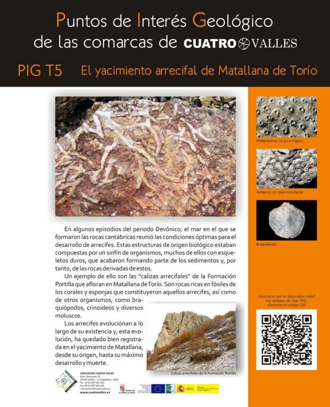 El yacimiento arrecifal de Matallana de Torío