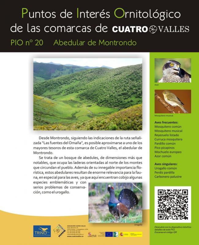 Abedular de Montrondo