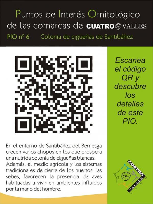 Colonia de cigüeñas de Santibáñez